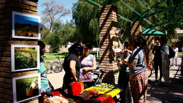 imagen Columna de Economía Social: el trabajo de la Bioferia para este nuevo año