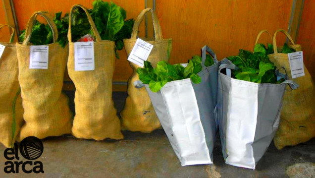 imagen Trabajar la huerta sin agroquímicos, una forma de la Economía Social