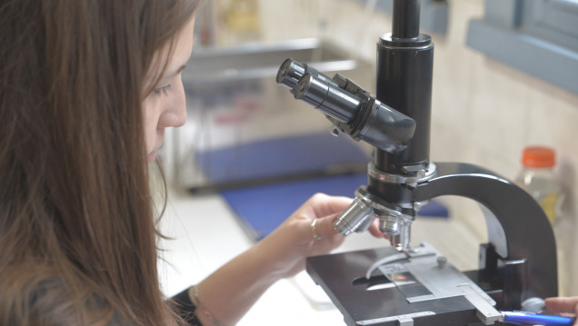 imagen Crece el rechazo por el recorte en el presupuesto de Ciencia y Técnica